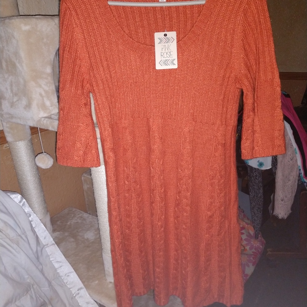 NWOT Pink Rose sweater dress